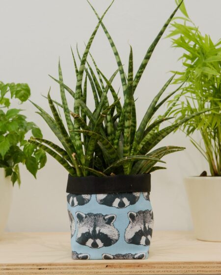 Raccoon Print Textile Plant Pot