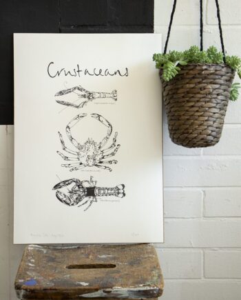 Large Crustaceans Screen Print - Langoustine, Spider Crab, Lobster