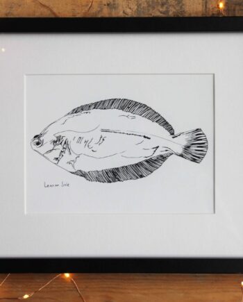 Little Lemon Sole print