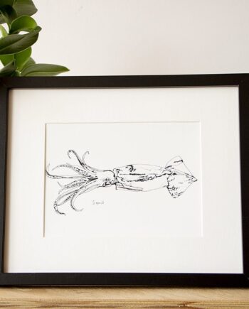 Little Squid print