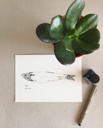 Little Sprat print