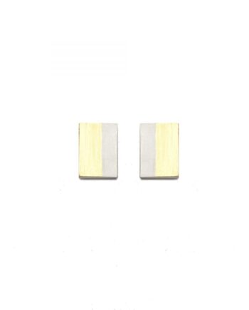 Silver & gold rectangle studs