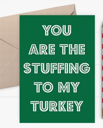 Funny Christmas card - You are the stuffing to my turkey