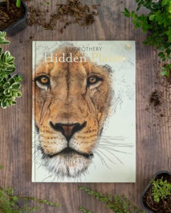 Hidden Planet - Illustrated Wildlife Book