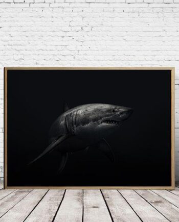 Great White Shark - Art Print