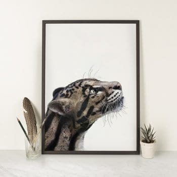 Clouded leopard Print