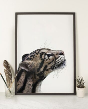 Clouded leopard Print