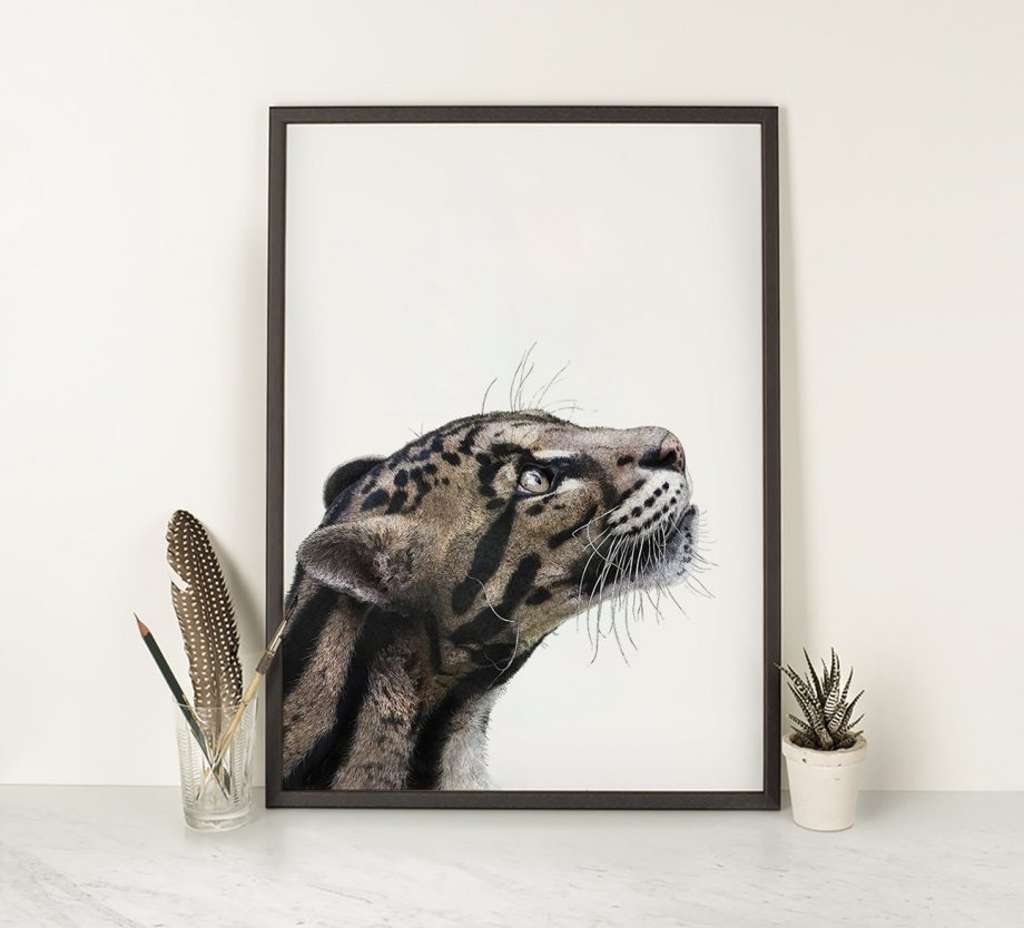 Clouded leopard Print