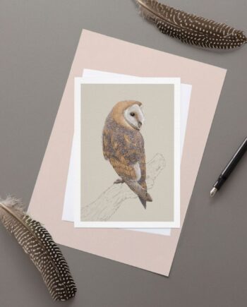 Barn Owl Greeting Card
