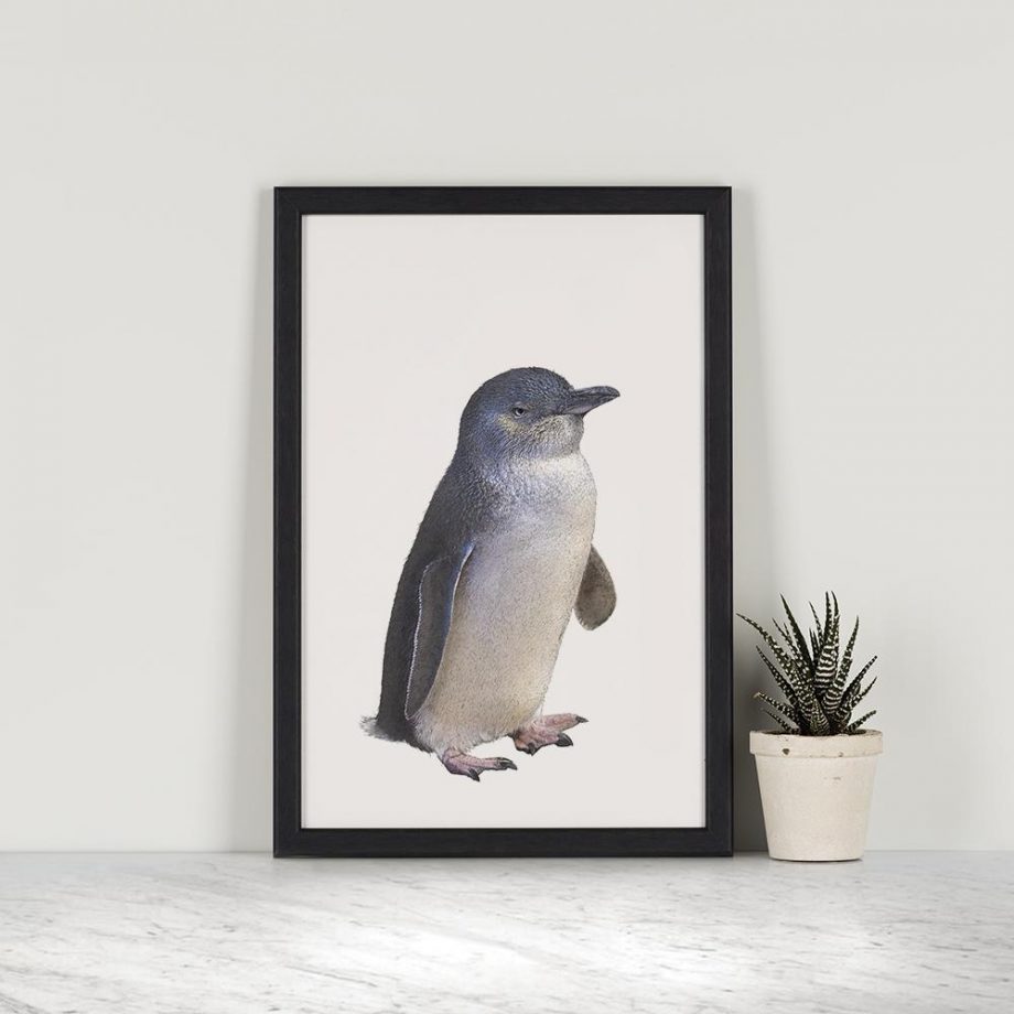 Little Penguin Illustrated Art Print