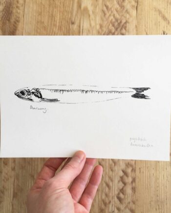 Little Anchovy screenprint