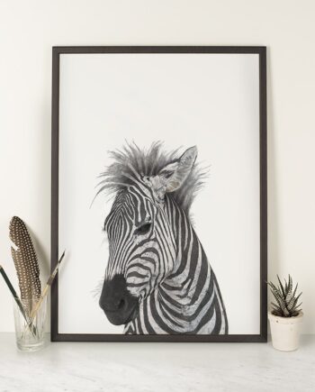 Zebra - Art Print