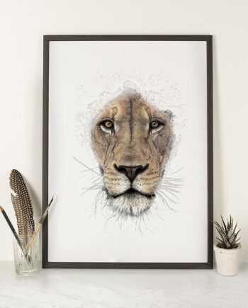 Lion - Illustrated Art Print