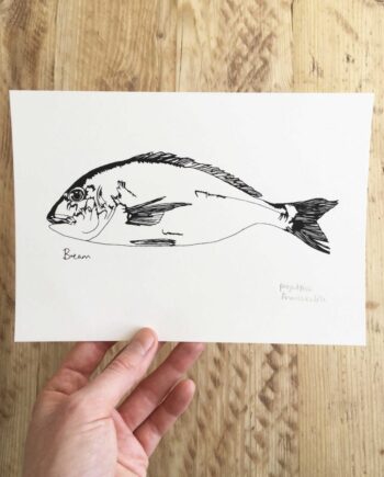Little Bream print
