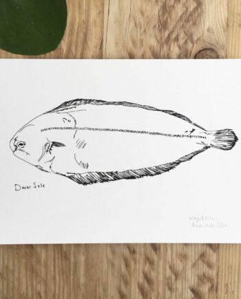 Little Dover Sole print