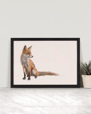 Red Fox - Illustrated Art Print