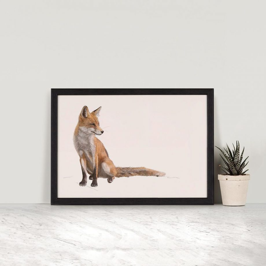 Red Fox - Illustrated Art Print