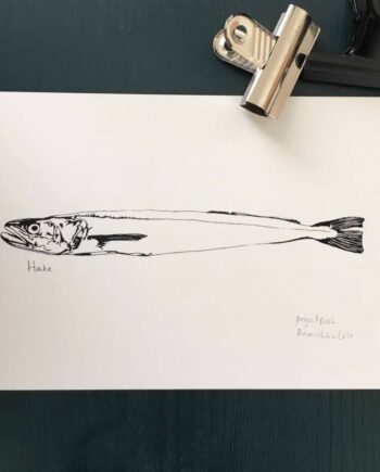 Little Hake print