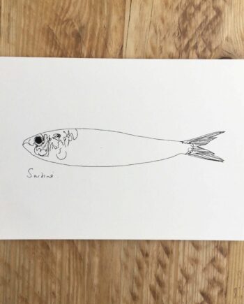 Little Sardine print