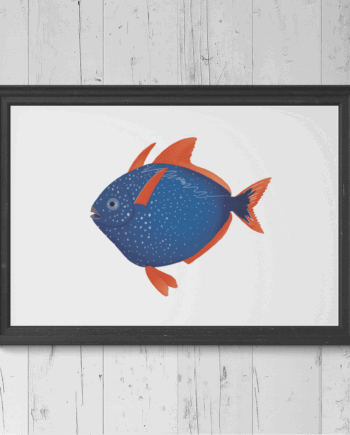Opah Print