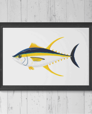 Yellowfin Tuna