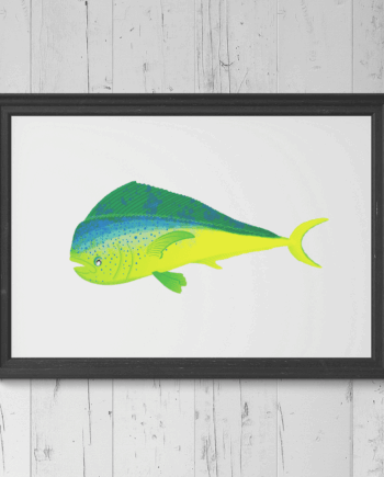 Mahi Mahi / Dorado Print