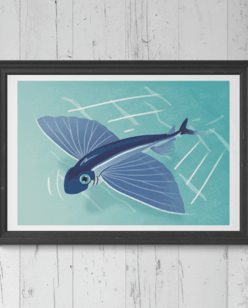 Flying Fish Print