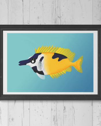 Foxface Rabbitfish Print