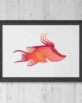 Hogfish Print