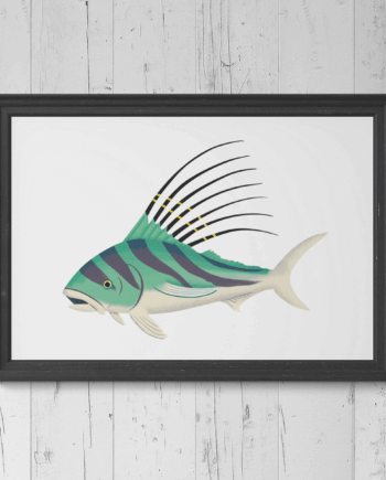 Roosterfish Print