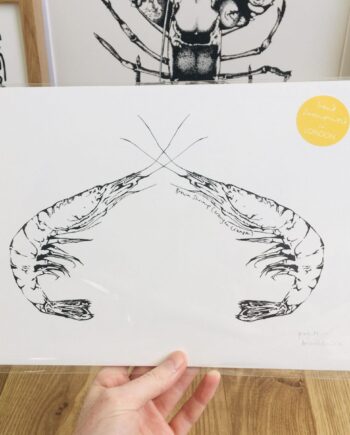 A4 Fighting Shrimp screenprint