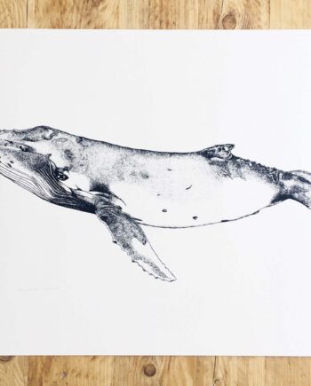 Large Humpback Whale Screen Print