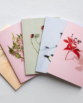 Colourful Botanical Greetings Cards - Set of 5