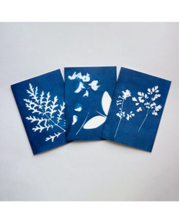 Blue Cyanotype Botanical Greetings Cards - Set of 3