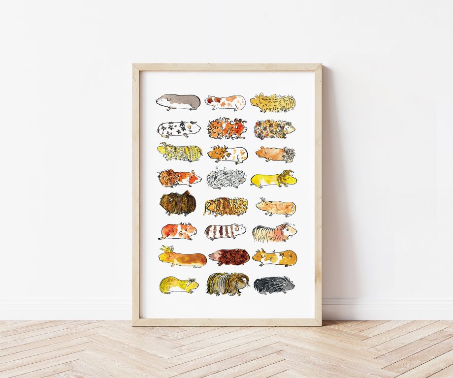 Guinea Pigs - Art Print