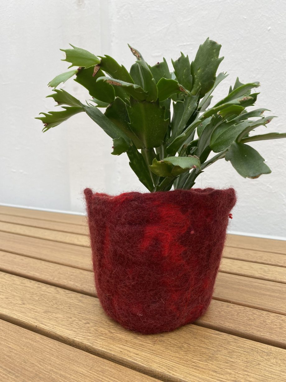 Red Pot, Felt Pot Cover