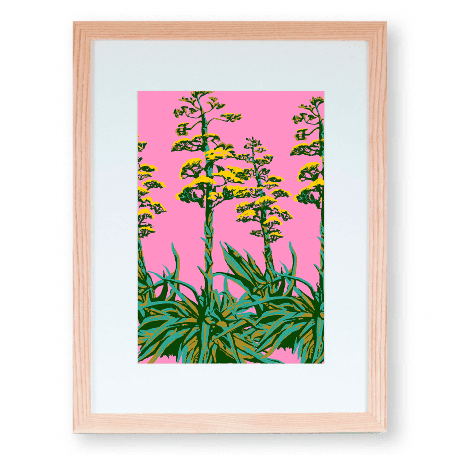 ‘Desert Agave’ Fine Art Print