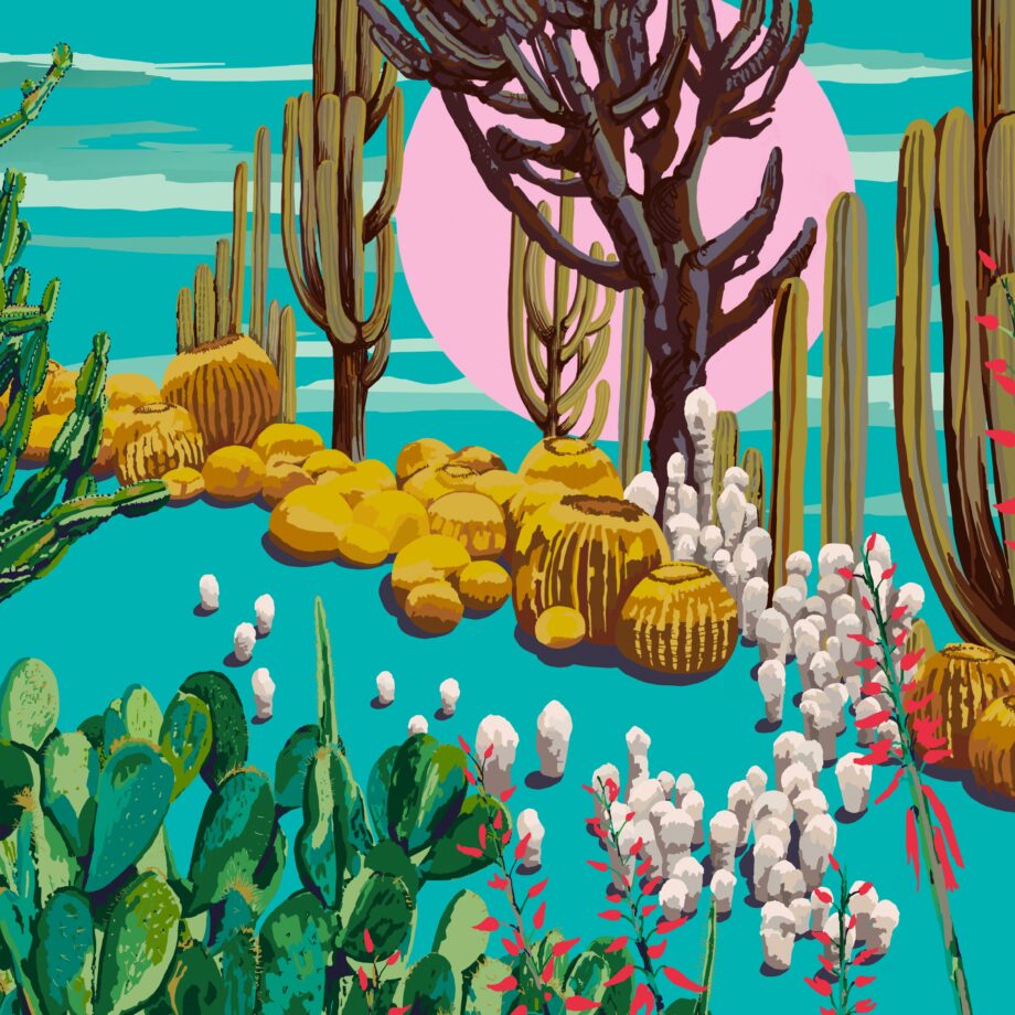 ‘Cactus Garden Series No. 1’ Fine Art Print