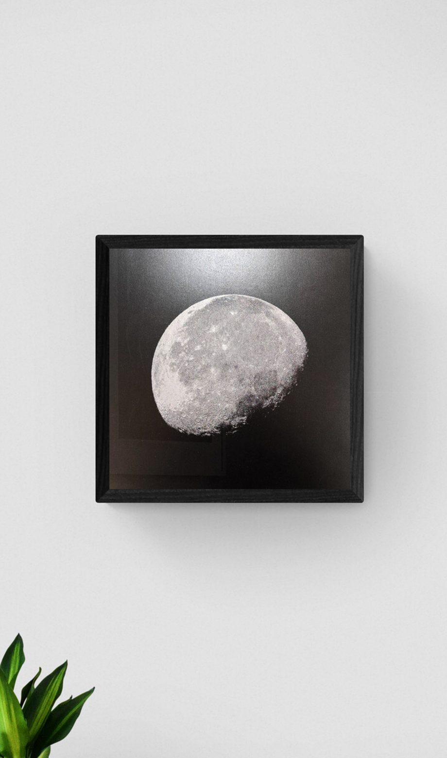 Moonshine - graphite paper glitter moon Screen print