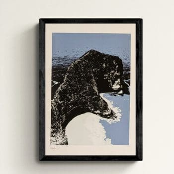 T-Rex Bay Screen Print