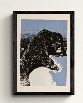 T-Rex Bay Screen Print