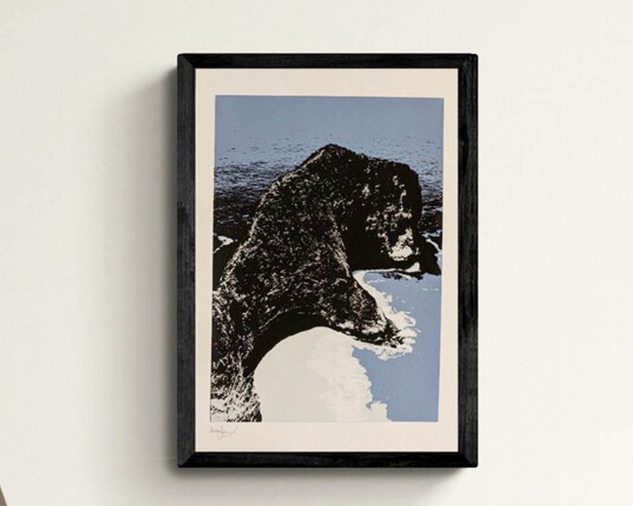 T-Rex Bay Screen Print