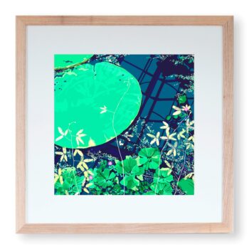 ‘Lily Pads on Blue’ Fine Art Print