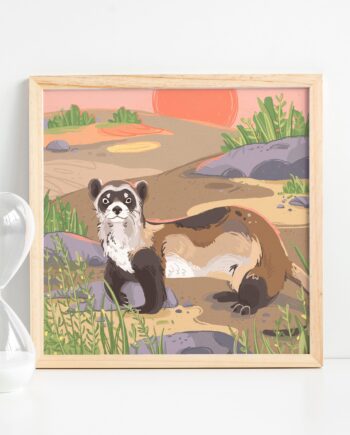 Black Footed Ferret Art Print - Endangered Animals Print