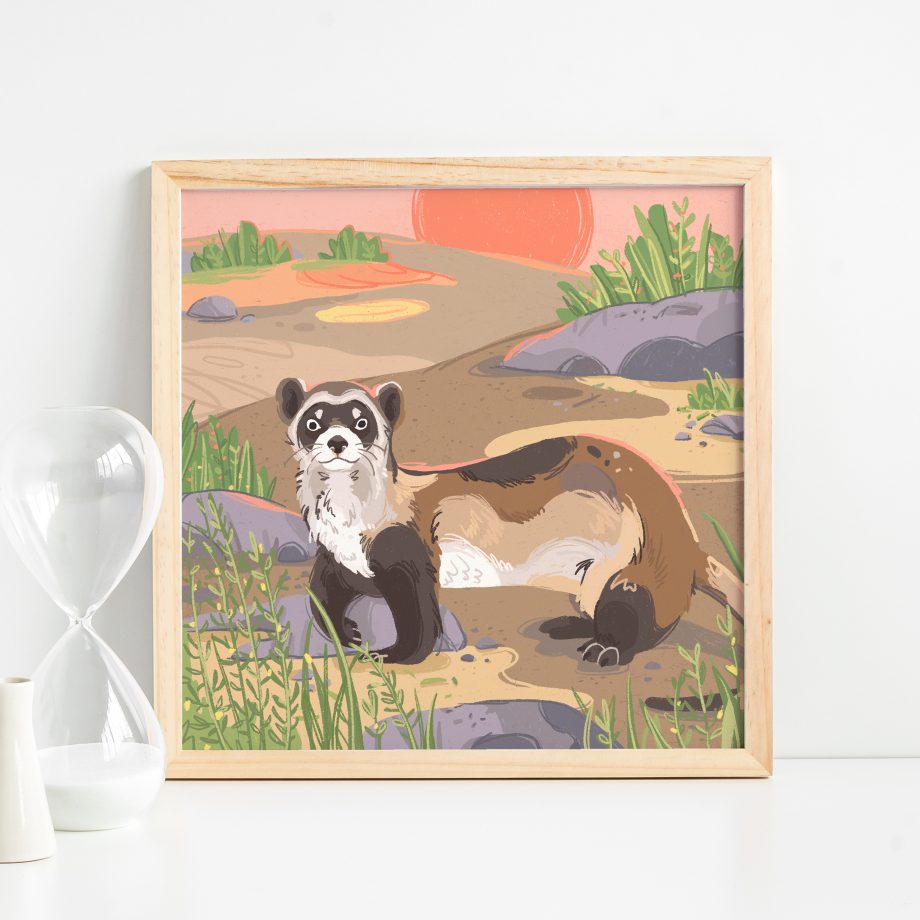 Black Footed Ferret Art Print - Endangered Animals Print