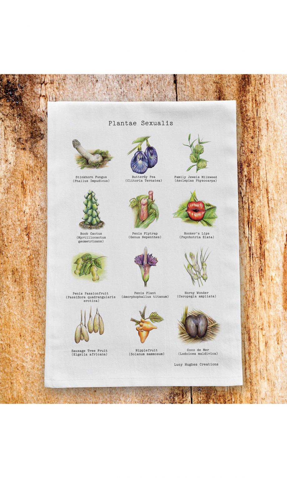 Plantae Sexualis Tea Towel