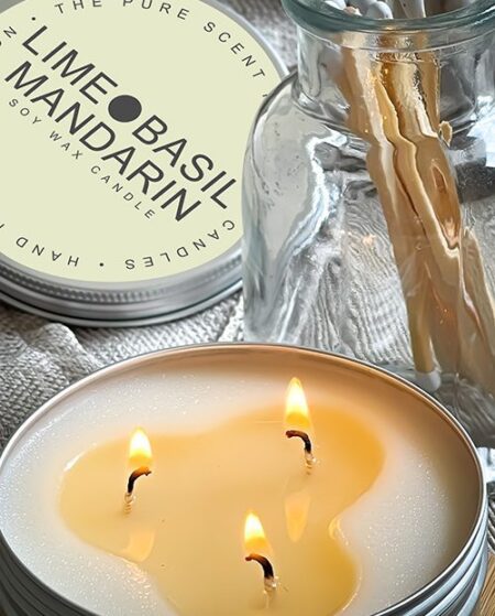 Lime Basil and Mandarin 3 Wick Soy Candle
