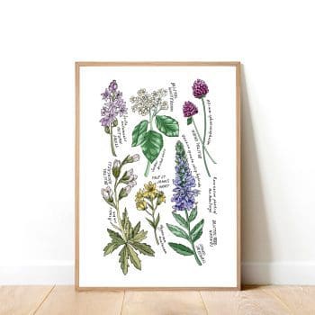 Bristol Native Flora Art Print