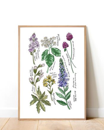 Bristol Native Flora Art Print