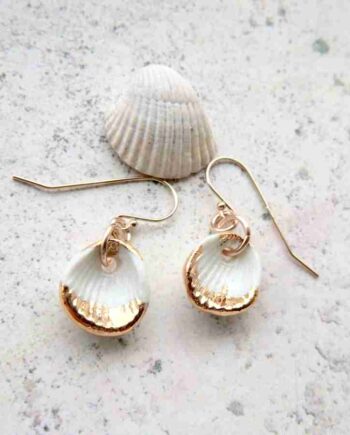 White and gold seashells, 14k gold earrings